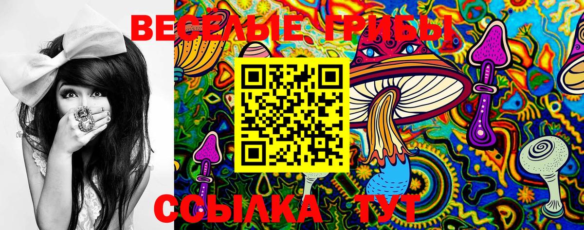 Псилоцибиновые грибы MAGIC MUSHROOMS  Вход с VPN  Миллерово  Галлюциногенные грибы Cubensis 